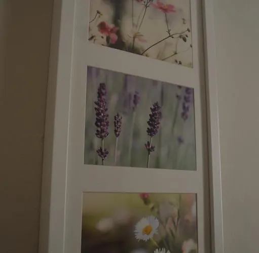 Otel Noufara Rhodes City